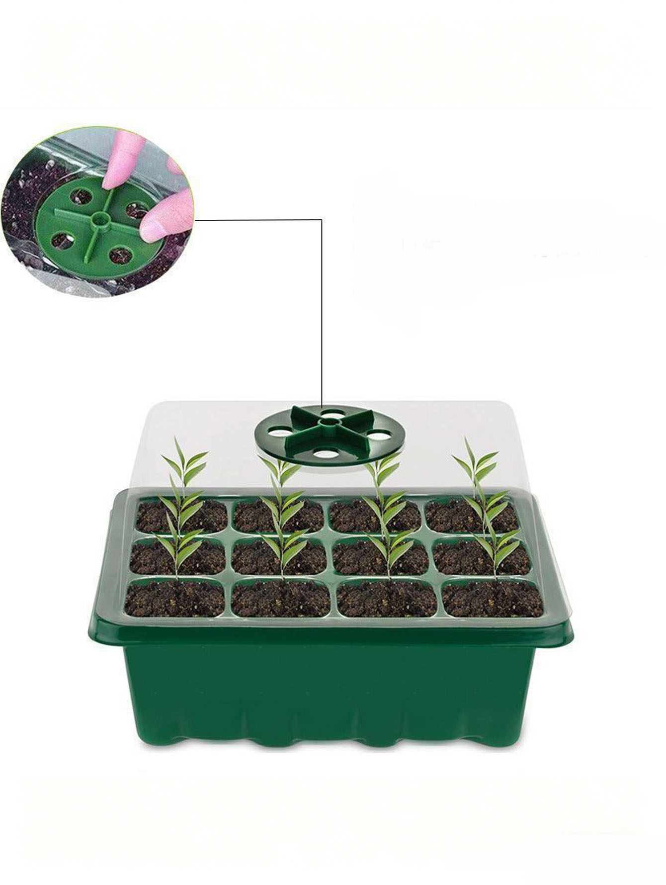 Seed Starter Tray - 1/2 stuk zaaitray met 6/12 gaten,