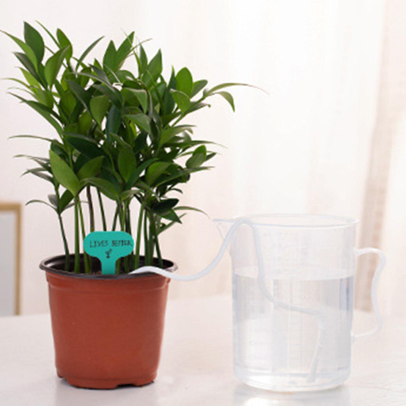 Plantenwikken voor zelfwaterge - Self Watering Planter recensie en prijs