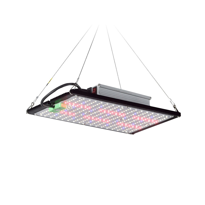 LED Quantum-Board Kweeklamp Vo - Grow Light Led recensie en prijs