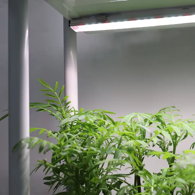 Verplaatsbaar verticaal 3-laag - Self Watering Planter recensie en prijs