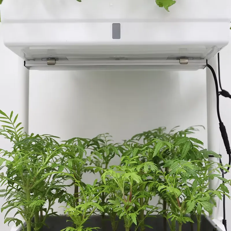 Verplaatsbaar verticaal 3-laag - Self Watering Planter recensie en prijs