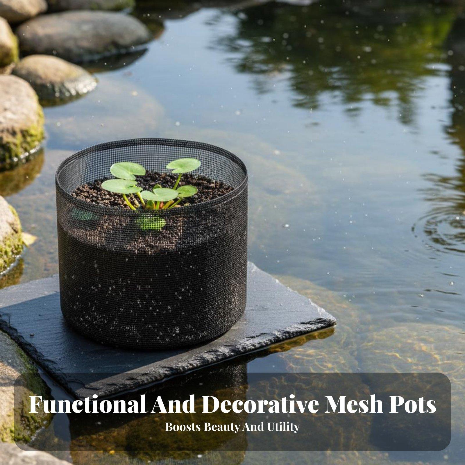 4-delige set waterlelie plante - Plant Pot recensie en prijs
