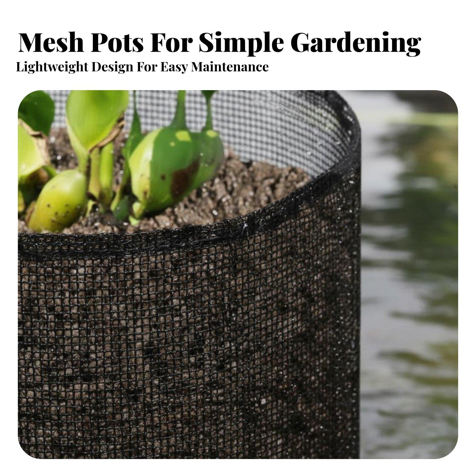 4-delige set waterlelie plante - Plant Pot recensie en prijs