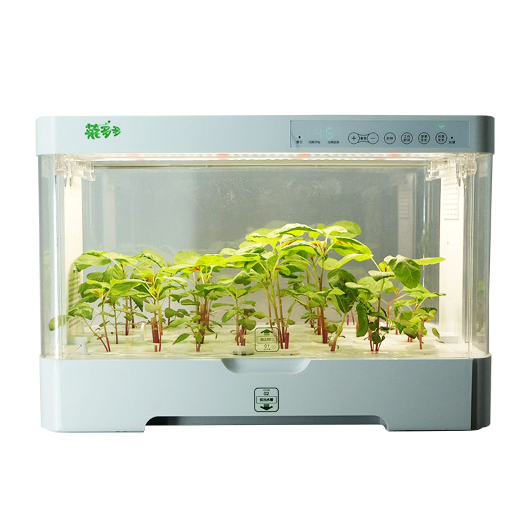Kleine, slimme, plastic kweekk - Hydroponic Kit recensie en prijs