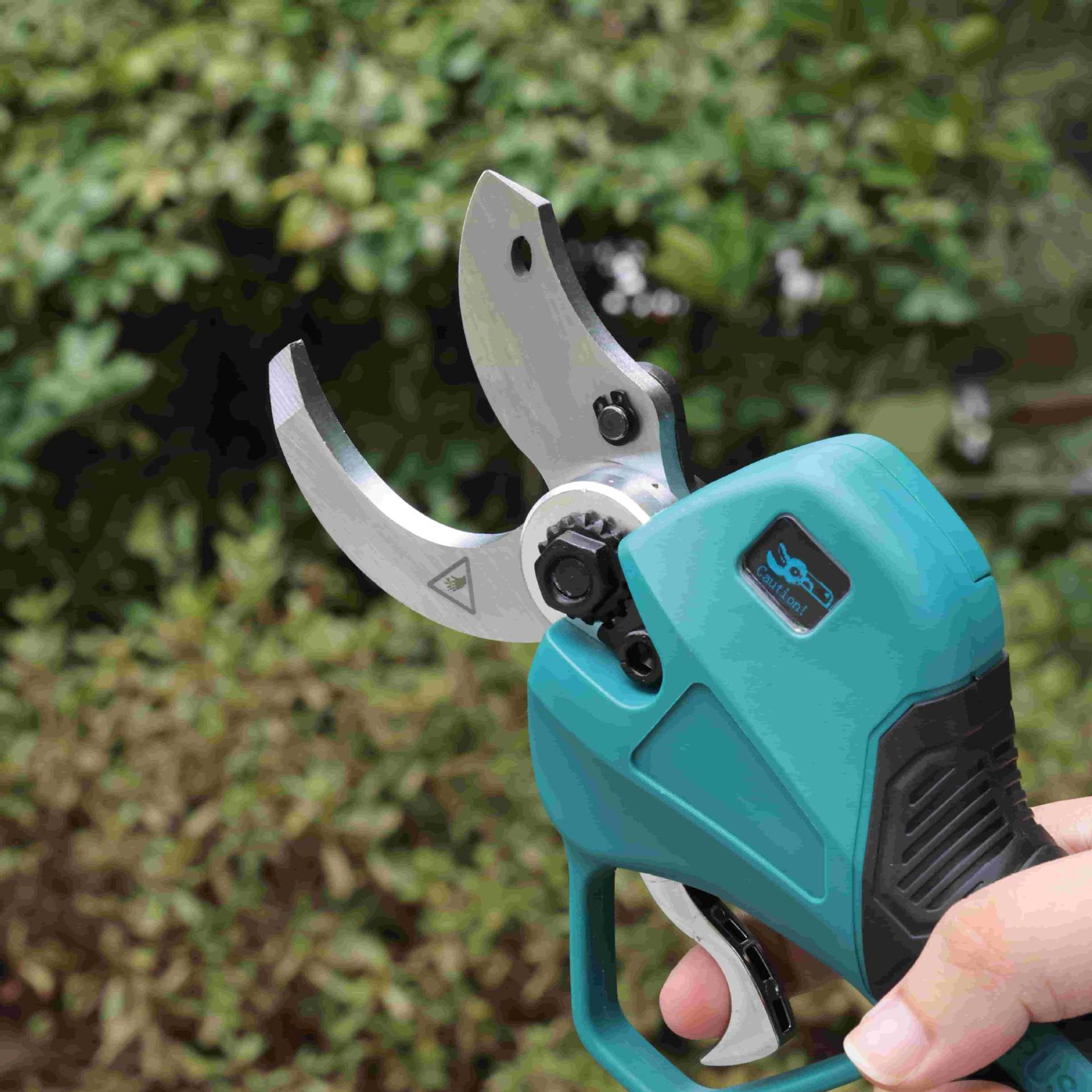 Hoge snoeischaar op accu, elek - Pruning Shears recensie en prijs