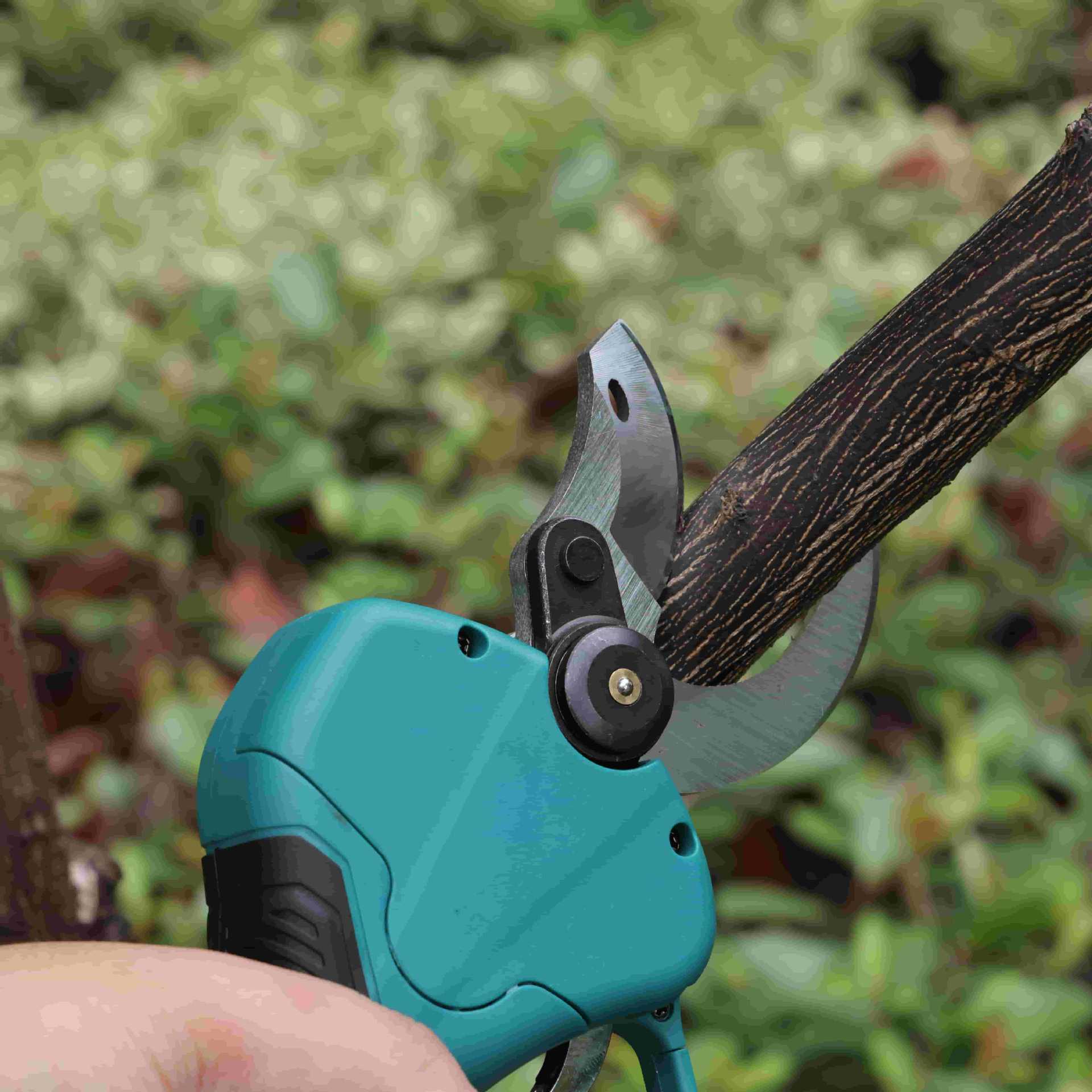 Hoge snoeischaar op accu, elek - Pruning Shears recensie en prijs