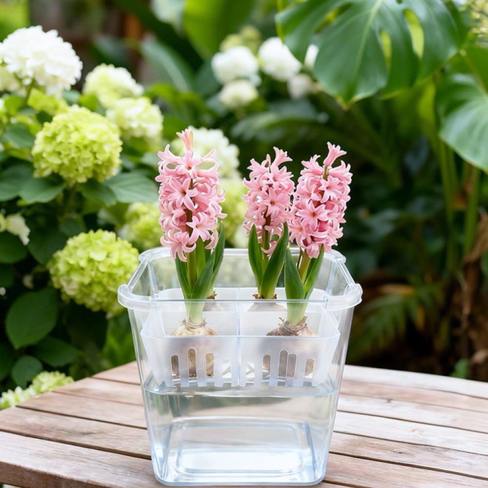 Hydroponische vaas voor tulpen - Plant Pot recensie en prijs