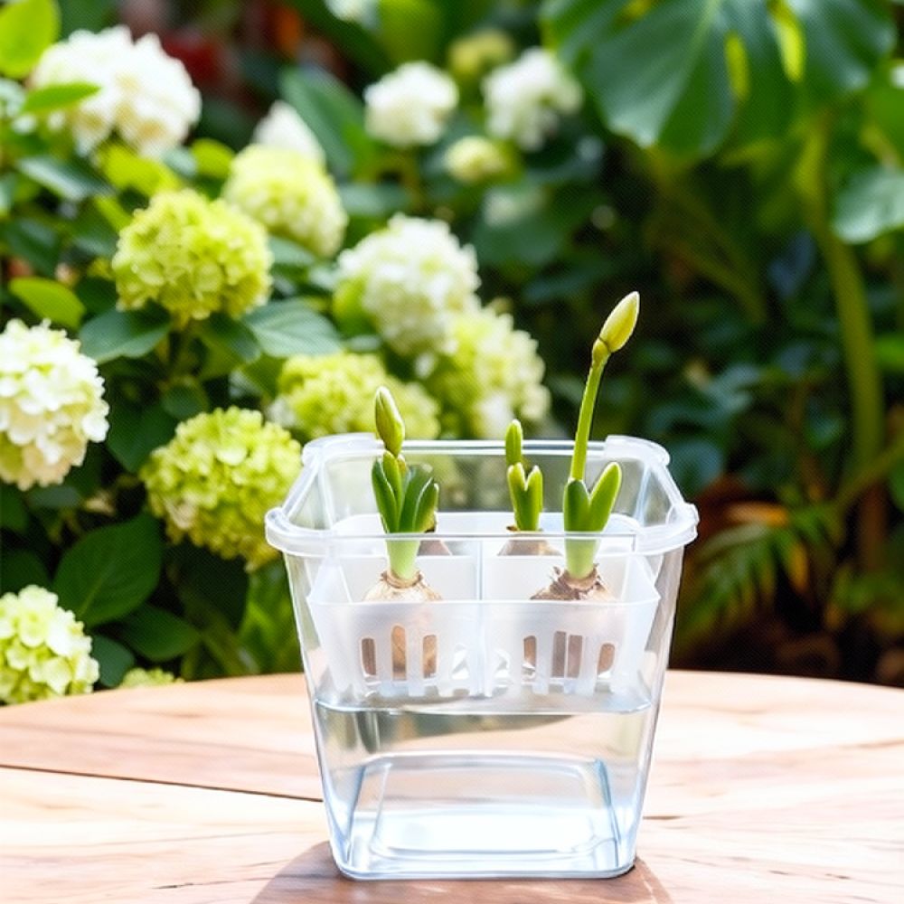 Hydroponische vaas voor tulpen - Plant Pot recensie en prijs