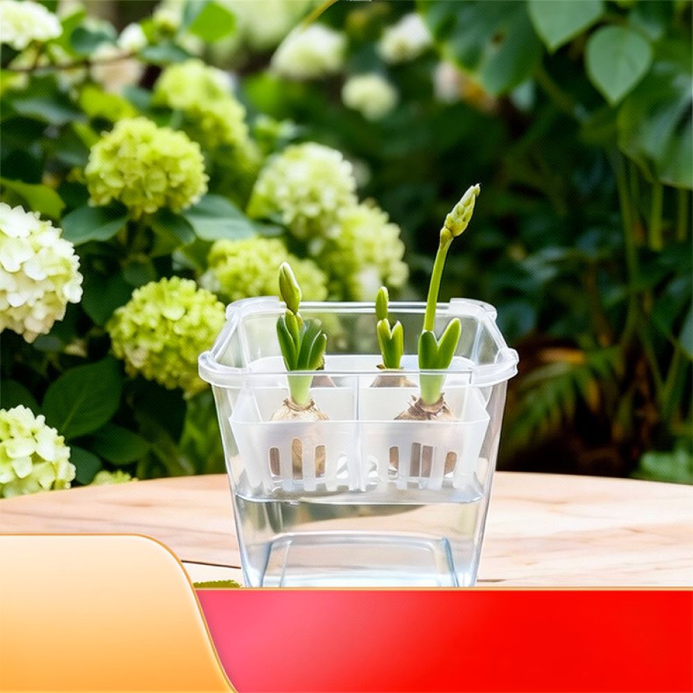 Hydroponische vaas voor tulpen - Plant Pot recensie en prijs