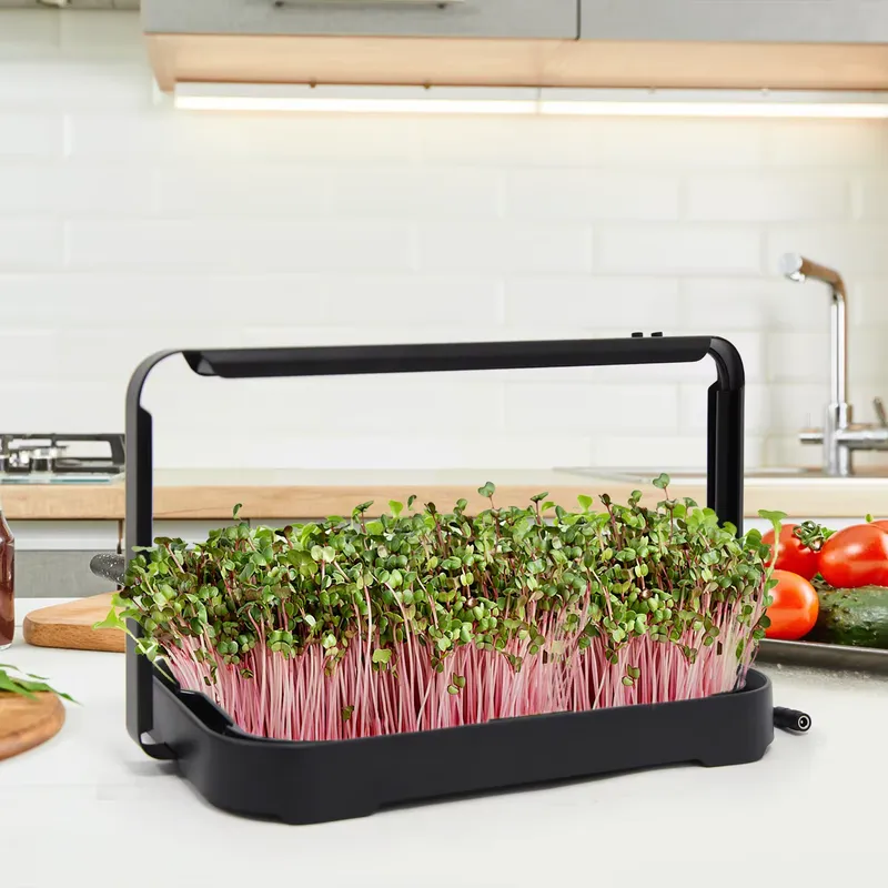 Hydroponische Bak Indoor Micro - Hydroponic Kit recensie en prijs