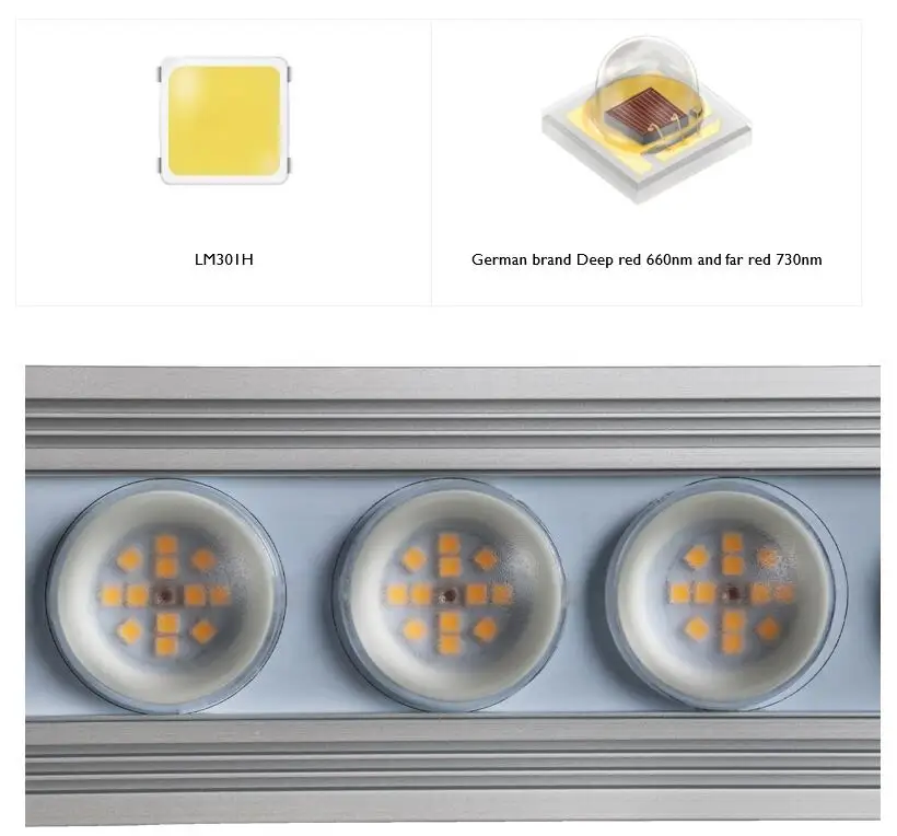 Koray 900W Indoor full spectru - Grow Light Led recensie en prijs