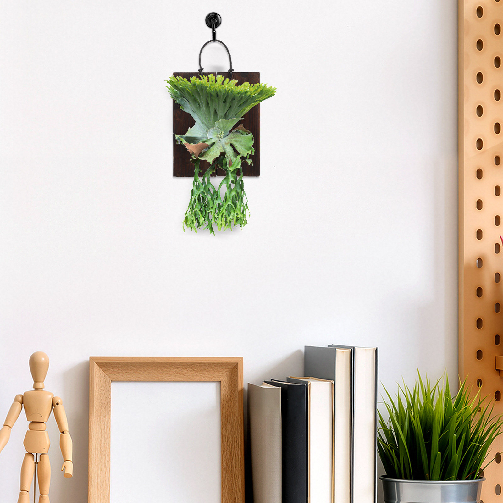 Montageplank voor hertenhornta - Vertical Planter recensie en prijs